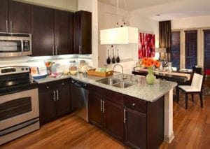 Uptown Dallas - Apartments on The Katy Trail #044 - Dark Kitchen Cabinets