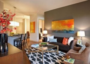 Uptown Dallas - Apartments on The Katy Trail #044 - Living Room