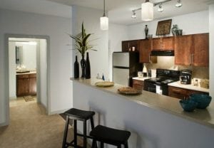 Uptown Dallas - Quadrangle Area Apartments #046 - Kitchen 