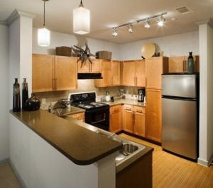 Uptown Dallas - Quadrangle Area Apartments #046 - Kitchen