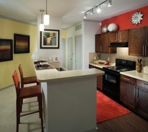 Uptown Dallas - Quadrangle Area Apartments #046 - Kitchen Bar