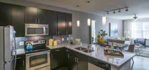 Uptown Dallas - Apartments on The Katy Trail #108 - Modern Kitchen