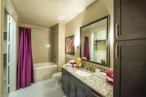 Uptown Dallas - Carlisle Street High Rise #109 - Dark Bathroom Cabinets