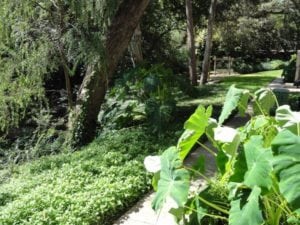 Lakewood - Lush Landscaping #038 - Trails