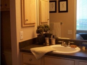 Uptown Dallas - Affordable High Rise Apartments on McKinney #041 - Bathroom
