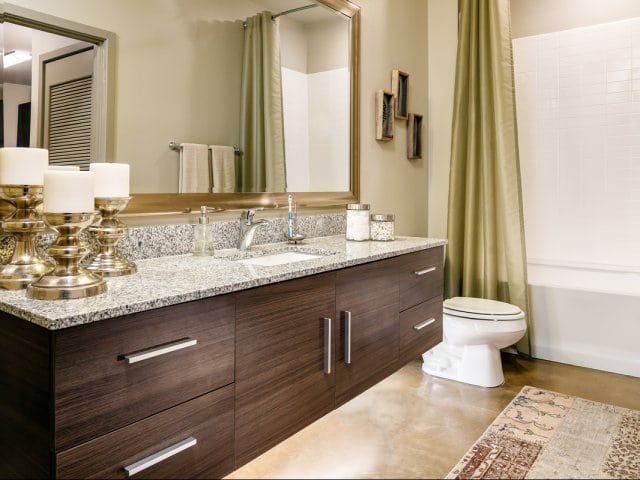 Oak Lawn - Cedar Springs Apartments #114 - Bathroom