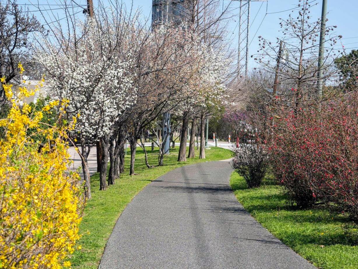 The Katy Trail & Griggs Park - Run, Bike, & Relax.