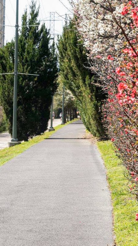 The Katy Trail & Griggs Park - Run, Bike, & Relax.